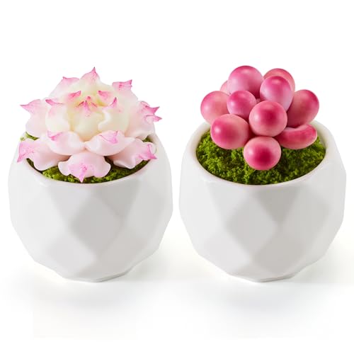 Listen Rainny Set of 2 Artificial Succulent Plants Potted -