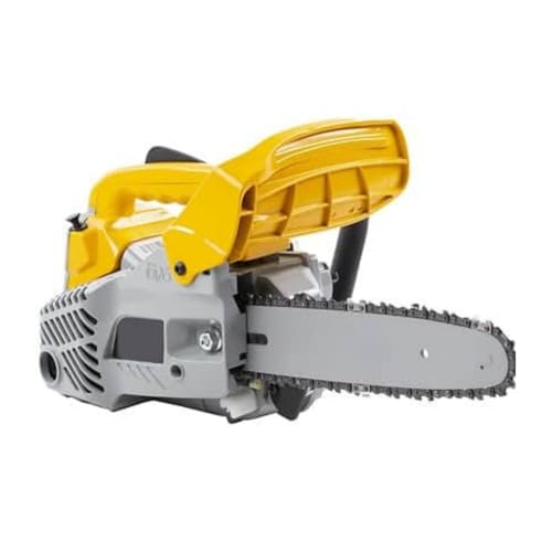 PR 25 (10'), tronçonneuse à essence, moteur à essence 25,4 cc (0,9 kW), guide-chaîne de 25 cm, deuxième chaîne gratuite