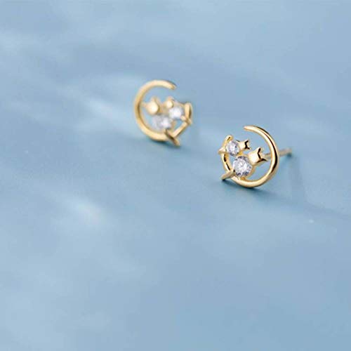 Boucles d'oreilles S925 pour femmes au style littéraire coréen