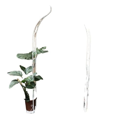 ITMEAT[YACAtFX[YACA[YbNKтɂUf鐫ANC~OAX^htFXgݗăVvȑ (205×120 cm,zCg)