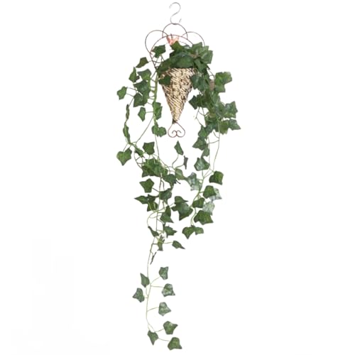 tFCNO[ ݂艺 Ǌ|yIVȃoXPbgtzϗtA tFCN ACr[ CeA IV