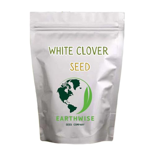 Earthwise White Dutch Clover Alternative Lawn Seed Organic Clover Lawn Seed Nitrogen Fixing Ground Cover Pollinator Friendly Drought Tolerant 1/2 lb Covers Up to 1 000 sq ft