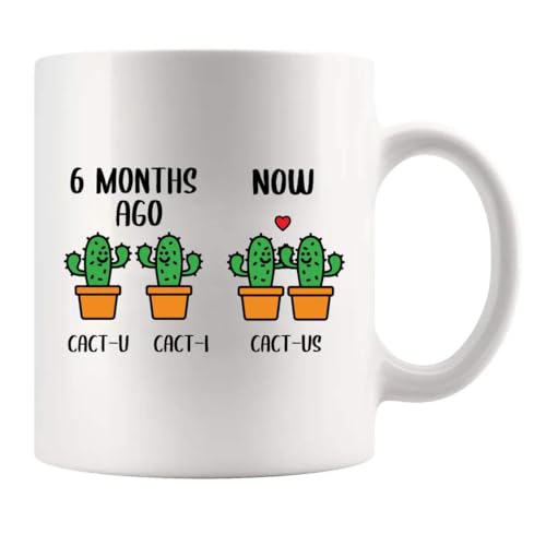 6 Month Anniversary Cactus Boyfriend Gifts From Girlfriend Sixth Month Dating Husband Wife...