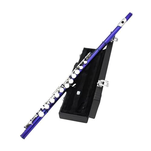 フルートセット 16穴Cキーフルートプロフェッショナルフルート