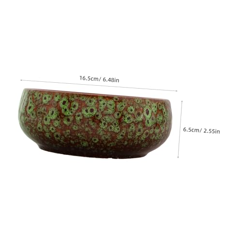 Pot de fleurs céramique sans drainage pour plantes succulentes