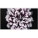 SAMSUNG The Wall IW008J Digital Signage Display - LCD - 3840 x 2160 - LED - 500 Nit - 2160p - Black