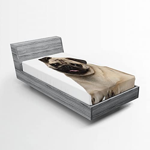 Ambesonne Pug 2 Pack Fitted Sheet, Young Puppy Lying on Floor, Bed Cover All-Round Elastic Deep Pockets 2 Pieces, Package Contains 2 Twin Size Fitted Sheets, Black Brown