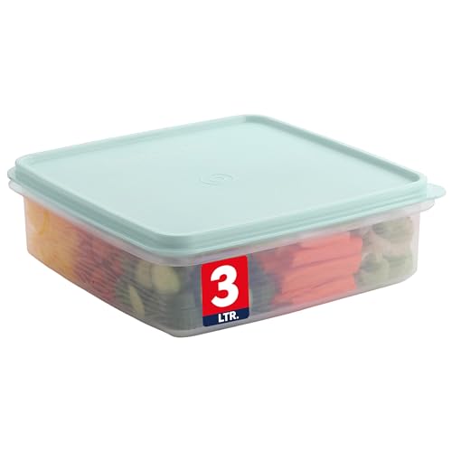 SIGNORA WARE Plastic Storage Container with Lid – 3L Cupcake...