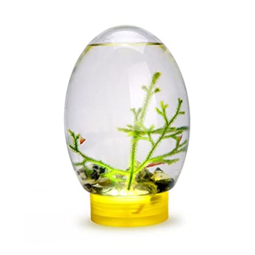 Acquario desktop, Mini Tank Fish, Aquarium Ecosistema acquatico chiuso 19CM con base girevole a LED, Acquario Desktop Ecosistema autosufficiente per decorazione degli uffici domestici Acquario desktop, Mini Tank Fish, Aquarium Ecosistema acquatico chiuso 19CM con base girevole a LED, Acquario Desktop Ecosistema autosufficiente per decorazione degli uffici domestici