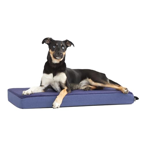 Barkbox Memory Foam Platform Dog Bed | Plush Mattress for Orthopedic Joint...