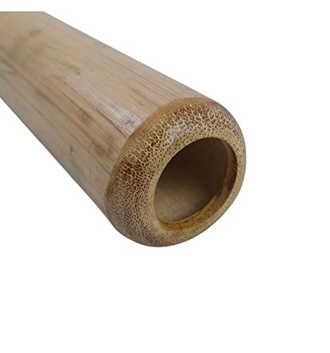 Didgeridoo en Bambou peint motif Salamandre -120cm