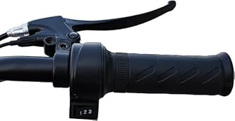 Delivery bike with 16-Inch Tire Options – 48V 12Ah Battery, 350W Motor, 3 Gears, LED Display, Four Shock Absorbers, Max Speed 45 km/h, Aluminum Frame