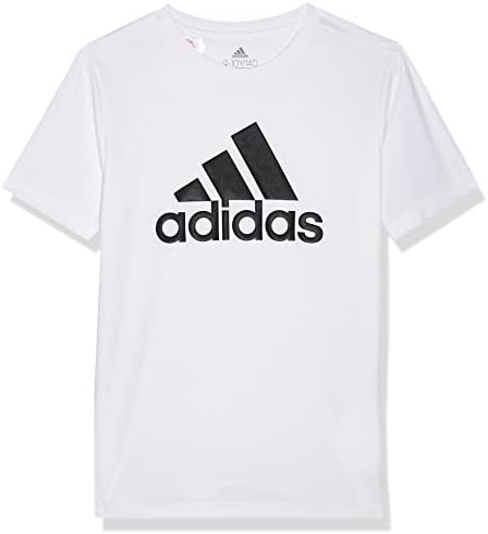 Adidas Boys Essentials Big Logo Tee 