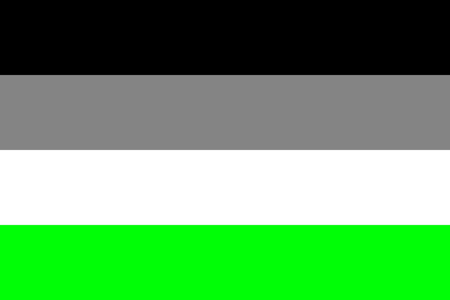 Drapeau Agender pride flag grand format à quatre bandes pour communauté LGBTQIA+