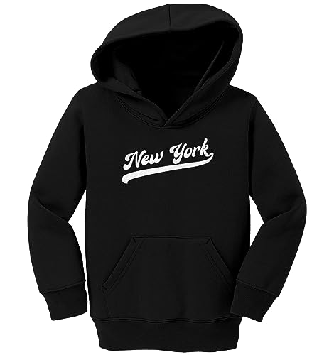 Haase Unlimited New York - Baseball Jersey Style Toddler/Youth Fleece Hoodie