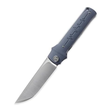Petrified fish PFB04 Tena Folding Knife, 3.82" D2 Steel Satin Blade G10 Handle Pocket Folding knife for EDC Camping Outdoor (Gray Satin) Cover