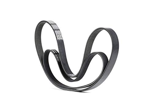 Dayco PVE003 Correas Trapeciales Poli V