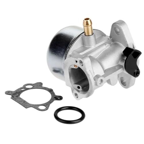 Carburateur Briggs & Stratton 799866 pour l'entretien du jardin - 4