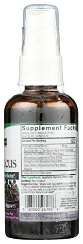 Natures Answer Sambucas Spray, 2 Fz #TOP5