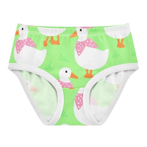 Toddler Underwear Floral 2t Cotton Cute Panties Girl Colorful Kids Briefs Undies Cute White Geese Green