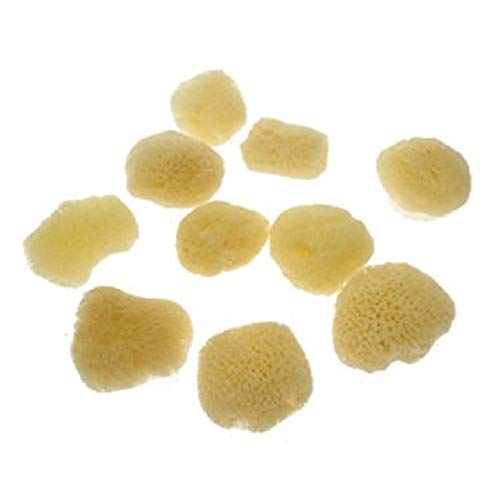 UPKOCH Lot de 10 éponges de nettoyage pour cuisine - Gris81