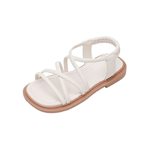 Girls Sandals Open Toe Mesh Design Shoes Flat Sandals Summer Dress Shoes Casual Fashion Shoe Toddler Dress Shoe