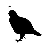 1002 Quail Decal quail decoy by Waterfowldecals (Medium, Black)