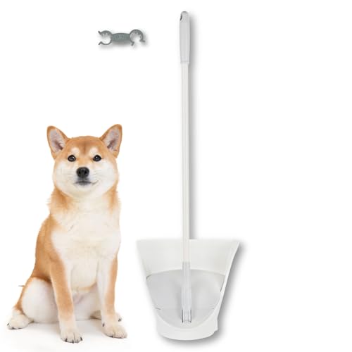 X[Wr v vX (X[p[Ƃ) VR  t[O J[ybg 