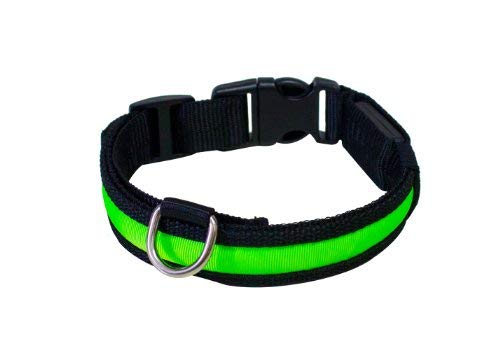 PRECORN Collar para perros luminoso