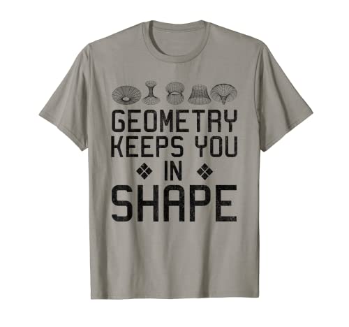 Regalo divertido para profesor de juego de palabras de matemáticas Camiseta