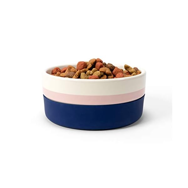 Jonathan Adler: Now House Blue Miami Duo Bowl, Medium | Dishwasher Safe, Easy to Clean Dog Bowl with Anti-Skid Lid | Dual Functionality Bowl for Dogs for Storage or Travel Jonathan Adler: Now House Blue Miami Duo Bowl, Medium | Dishwasher Safe, Easy to Clean Dog Bowl with Anti-Skid Lid | Dual Functionality Bowl for Dogs for Storage or Travel