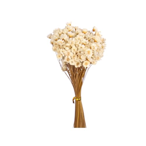 YATAI Dried Flowers Bouquet 45cm Tall Natural Preserved Dry Flowers for Decoration Durable Maintenance-Free & Everlasting Rustic Dried Flowers Arrangement for Home Event Wedding Decor (1 Wh)