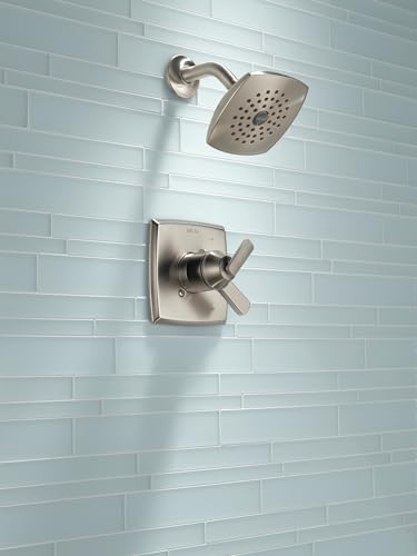 Image of Delta Faucet Ashlyn 17 Series Dual-Handle Shower Faucet, Shower Trim Kit with Single-Spray Touch-Clean Shower Head, Stainless T17264-SS (Valve Not Included)