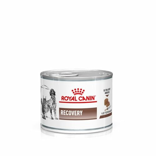 Royal Canin Veterinary Recovery | 12 x 195 g | Diät-Alleinfuttermittel für ausgewachsene Hunde und ausgewachsene Katzen | Ultra Soft Mousse mit einem hohen Proteingehalt