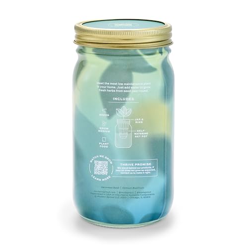 Modern Sprout New & Improved Mason Jar Grow Set, Indoor Herb Garden, Seed Starter Set, Organic Seeds, Hydroponic Growing (Basil)