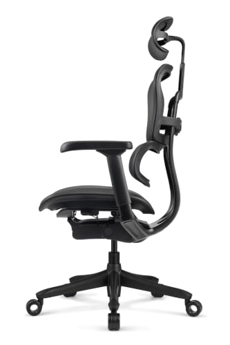 Image of Ergohuman LE9ERG Executive High Back Leather Swivel Office Chair with Tilt Tension Control, Tilt Lock, Synchro Tilt, Seat Height & Depth, & Arm Height Adjustments, Matte Black Frame