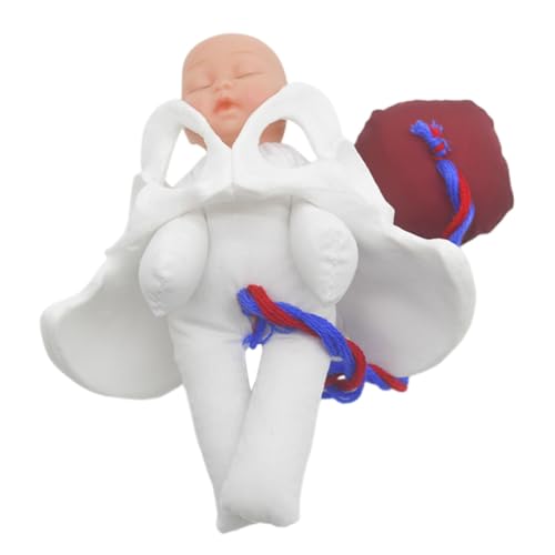 Simulateur d'accouchement en PVC placenta cordon umbilical modele de formation de sage-femme