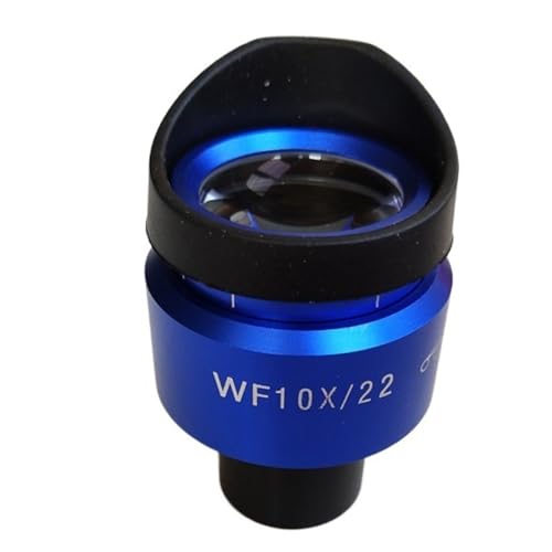 ���{�p�������A�N�Z�T���[ WF10X 22 �~�����[�g���u���[�V�F���Y�[�������\�ȍ��A�C�|�C���g�����������ڊ჌���Y 23.2 �~�����[�g��(1pcs)