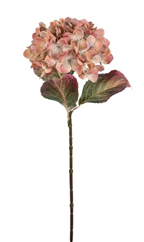 Herbst-Hortensie 65cm HB Kunstblumen künstliche Blumen Blumen Dekoblume (Braun-Creme-Grün)