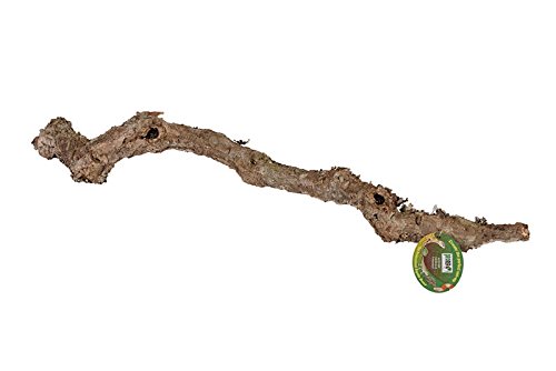 ProRep Cork Oak Branch, 40-60 cm