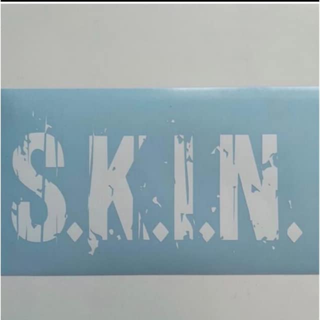 Amazon.co.jp: S.K.I.N. ステッカー LUNA SEA SUGIZO : おもちゃ