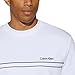 Calvin Klein Men’s Standard Fit Crew Neck Sweatshirt (White,X-Large)