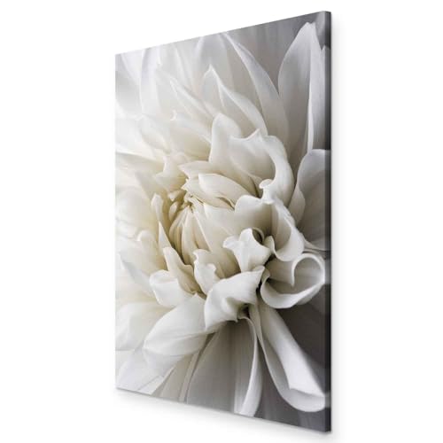 murando - Quadro Fiori 80x120 cm 1 Pezzo Stampa su Tela in TNT Tessuta XXL Quadri Moderni Murale Arte Moderno Grafica Decorazioni da Parete Pittura Immagini Decori bianco b-B-0112-b-a