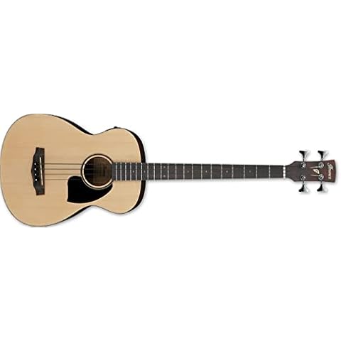 Ibanez PCBE12MH Acoustic Bass Cover