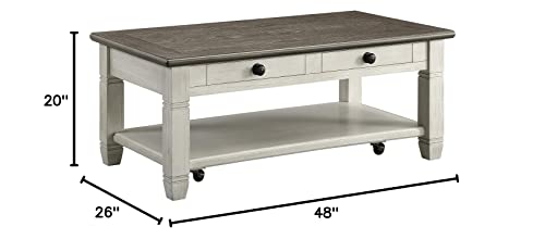 Lexicon Lilith Two Tone Wood 2-Drawer Coffee Table, 48" X 26", Rosy Brown/Antique White #TOP5
