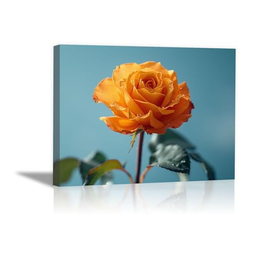 Toile élégante rose jaune DunPei décoration murale haut de gamme encadrée 30x50cm