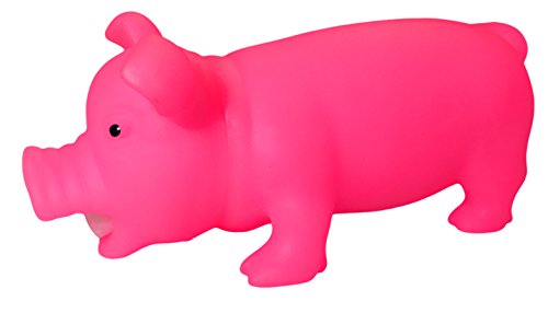 Glow In The Dark Squeeze Me And Oink Piggie By Animolds Size 8 Inch Different Colors Great For Kids (Pink) #TOP1