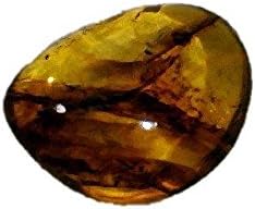 Baltic Amber Fossil with Insect Inside - Specimen in Display Case #A15