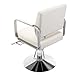 ZAWAYINE Barber Chair Salon Chair for Hair Stylist Hair Chair for Barbershop 360° Swivel Salon Styling Spa Beauty Salon Equipment Beauty for Women Man Barbershop Home Max Load Weight 440 Lbs