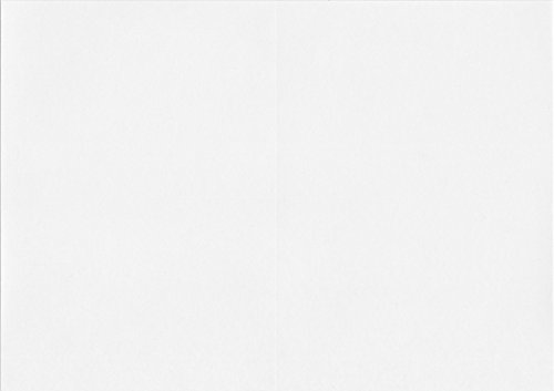 ptbgp:Qc܂̐܂ړJ[[U[ʃOXex (A4 100)